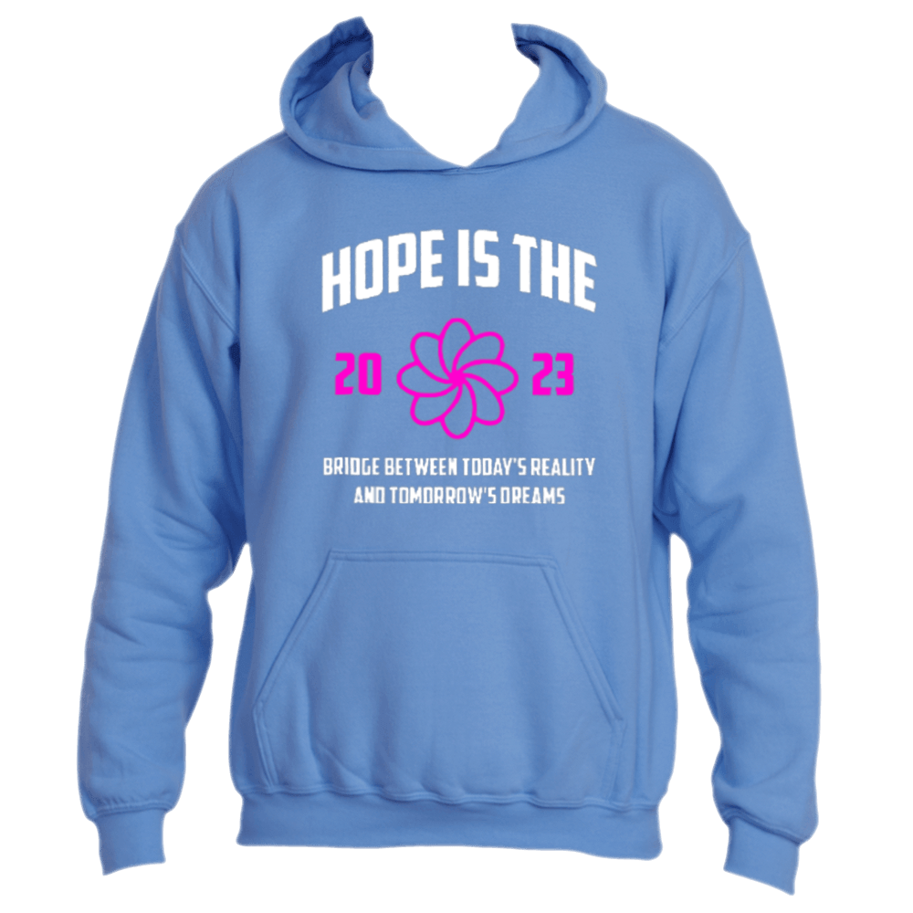 The &quot;Hope is the Bridge Hoodie&quot; by Divine Dispatch is an inspiring piece featuring a blue design with &quot;HOPE IS THE 2023,&quot; a pink flower, and the uplifting phrase, &quot;HOPE IS THE BRIDGE BETWEEN TODAY&